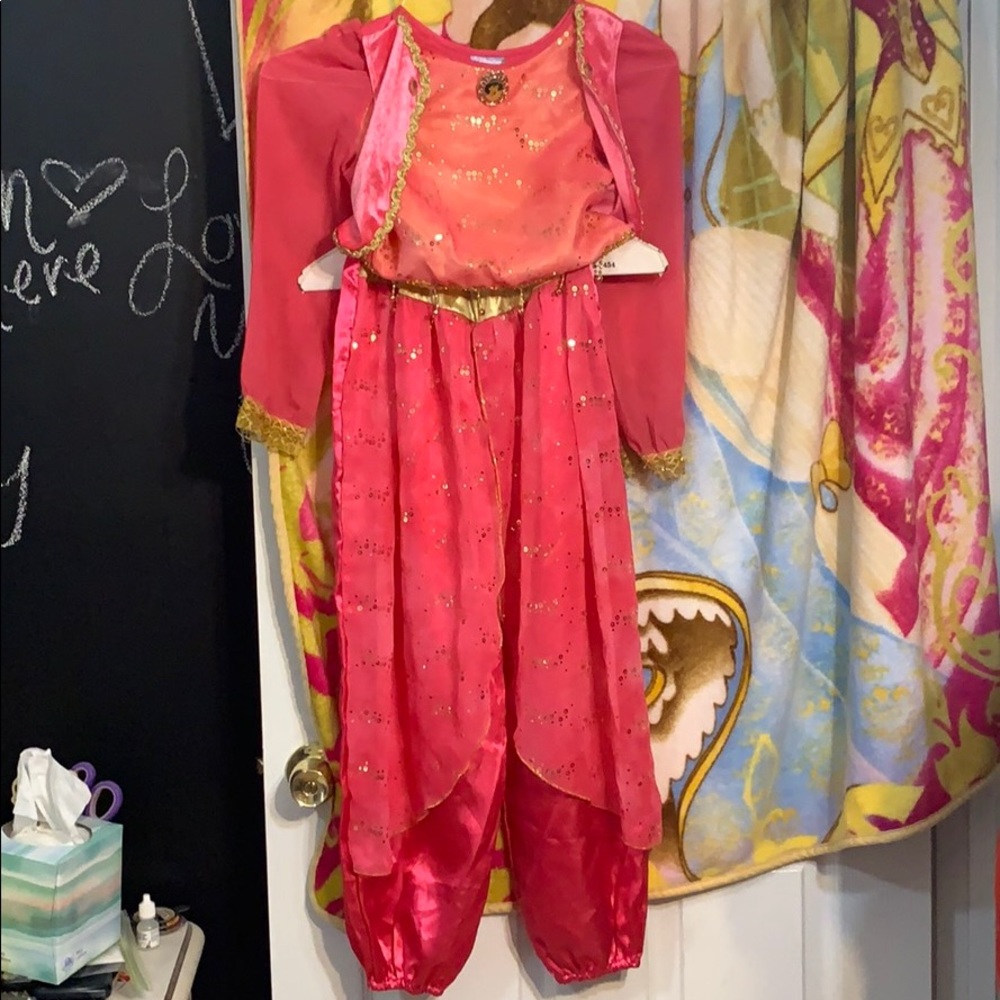 Two piece jasmine costume